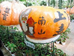 -北戴河集发农业梦想王国