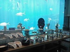 -瑞德姆美人鱼海底演艺主题餐厅(亚龙湾店)