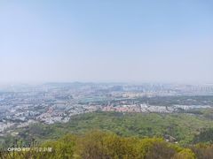 -紫金山山顶公园