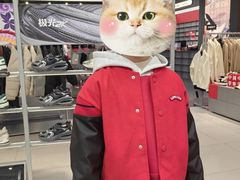 -李宁(苏州中心店)