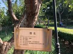 -裕华世纪公园