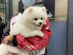 -申普宠物医院·眼科·心内科·影像科(普陀分院)