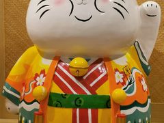 -屋虎猫馆(宝安大仟里店)
