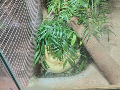 -上海大自然野生昆虫馆
