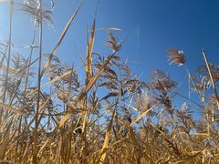 -中关村生命科学园