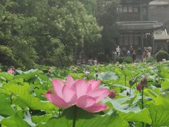 -莲池书院博物馆