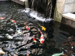 -曼谷铂尔曼皇权酒店