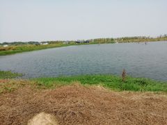 -南沙十九涌渔人码头-南门