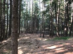 -塞罕坝国家级自然保护区