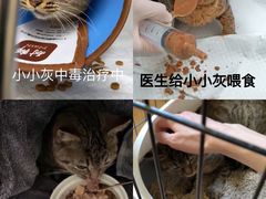 -瑞派天使宠物医院·神经外科·骨科·核磁(洛川中路店)