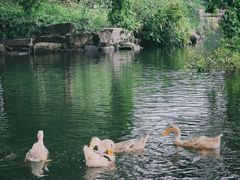 -台州府城(东湖)