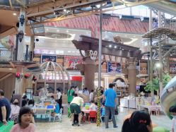 -卡通尼·Safari非洲探索乐园·生日会(金桥国际商业广场店)