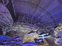 -烟台海昌鲸鲨海洋公园