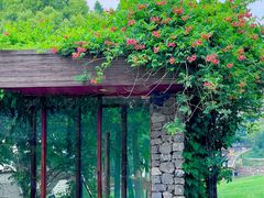 -龙吟山房(青龙山庄店)