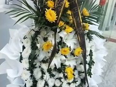 -上海市宝山区殡仪馆-停车场