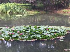 -洛阳市隋唐城遗址植物园