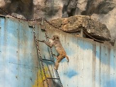 -无锡动物园·太湖欢乐园