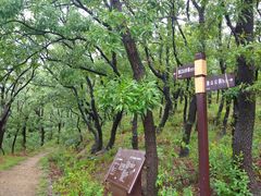 -里口山风景名胜区