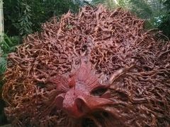 -龙达温泉生态城