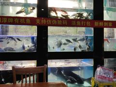 -全乐鱼馆·淳牌有机鱼直营店