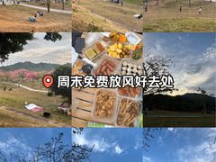 -风云岭森林公园