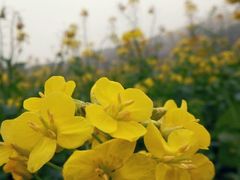 android_upload_pic-广州市石门国家森林公园