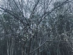-金山公园