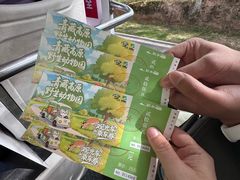 -青藏高原野生动物园