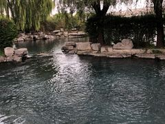 -百脉泉景区