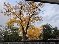 -南京中国近代史遗址博物馆(南京总统府)