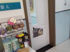 -全心全意动物诊疗中心医院(北苑店)
