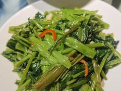 -风波庄(罍街分舵)