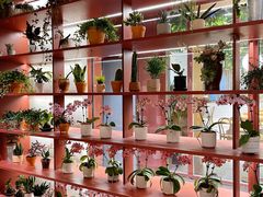 -二酉书店TOYOU BOOKS