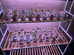 -富力希尔顿酒店·地阔自助餐厅