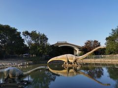 -上海海湾国家森林公园