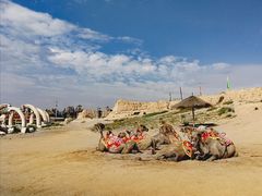 -镇北堡西部影城