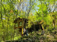 -郧西五龙河风景区