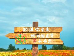 -汉长安城未央宫国家考古遗址公园