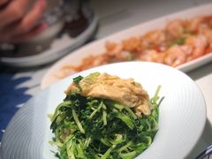 腐皮鸡毛菜-吴莊(龙城万科里店)
