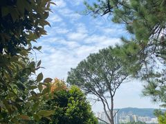 -火炉山森林公园