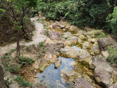 -南海湾森林生态园