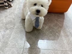 -它主义宠物(梁溪万达店)