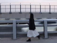 -海堤纪念公园