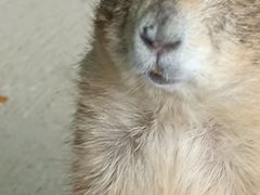 -杭州野生动物世界