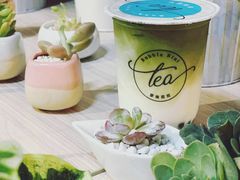 宇治抹茶-Bubble Nini Chippendale