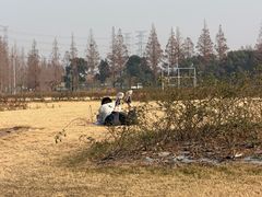 -上海长兴岛郊野公园