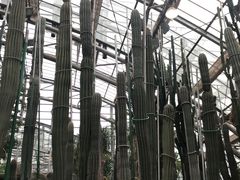 -南山植物园