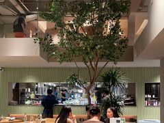 -KimPro 辛普乐概念韩餐