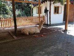 -楠溪江风景名胜区