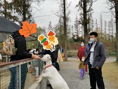 -前小桔亲子创意农场·草莓采摘·露营烧烤